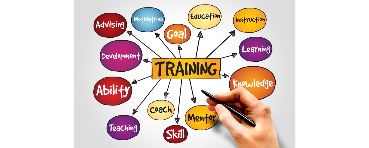 6. Provide Tailored Training and Development Opportunities